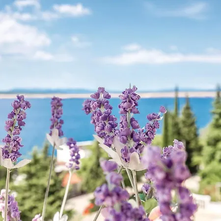 Stunning In アパート *